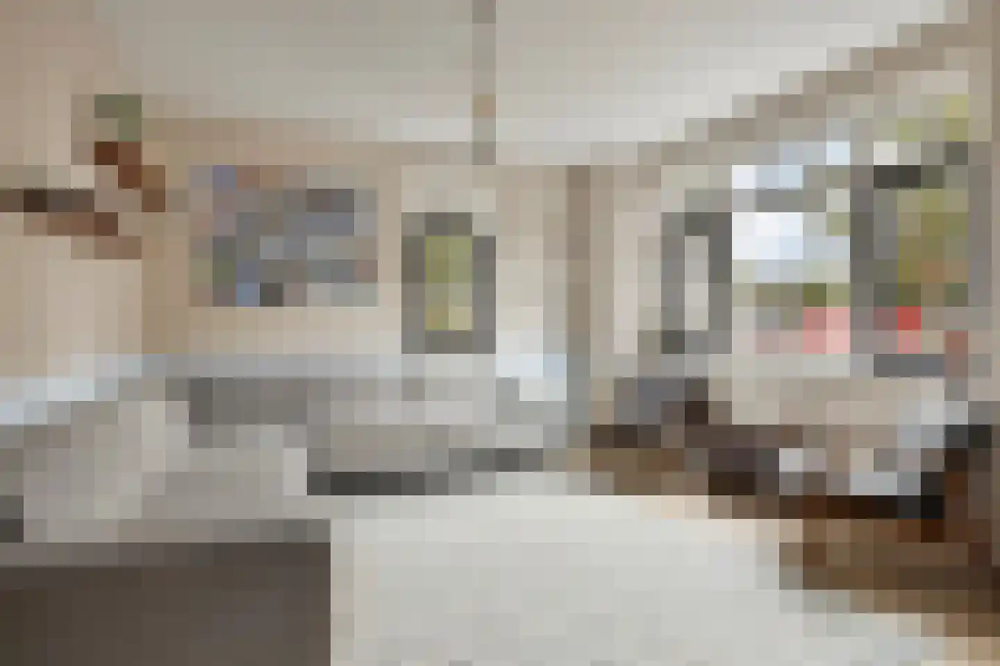 Sterreschans 98 Oegstgeest thumbnail 13