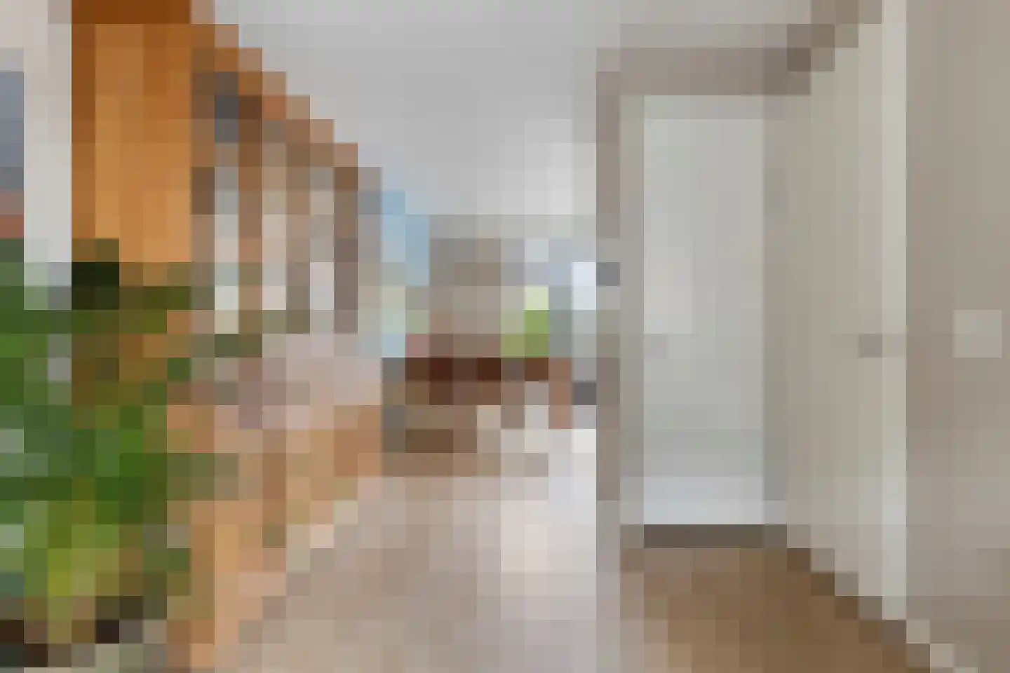Sterreschans 98 Oegstgeest thumbnail 15