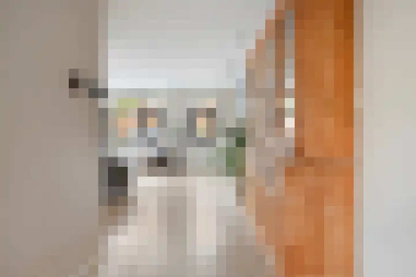 Sterreschans 98 Oegstgeest thumbnail 16