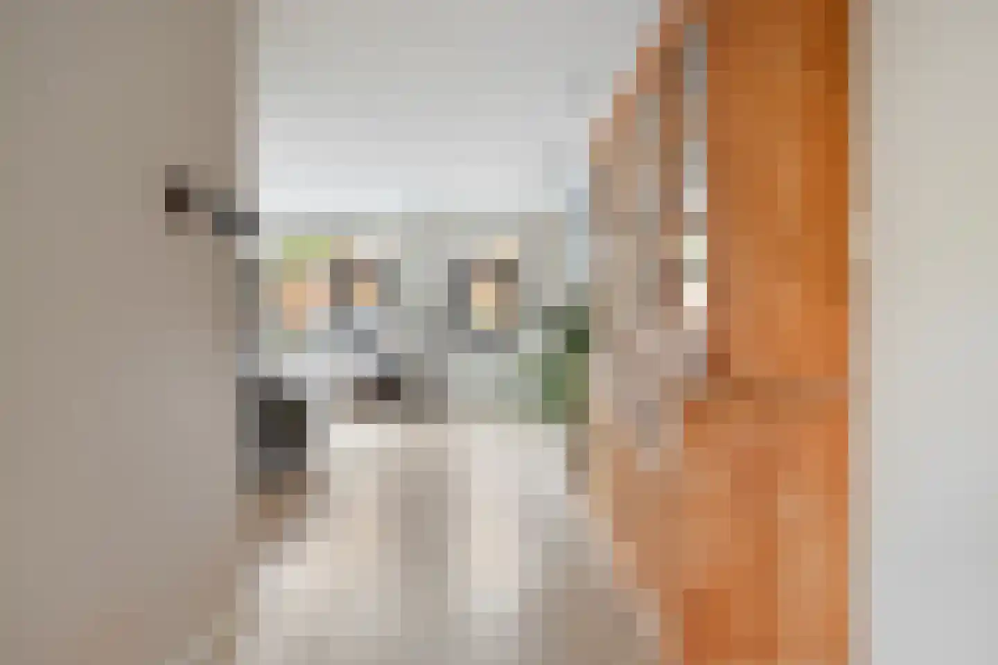 Sterreschans 98 Oegstgeest thumbnail 16