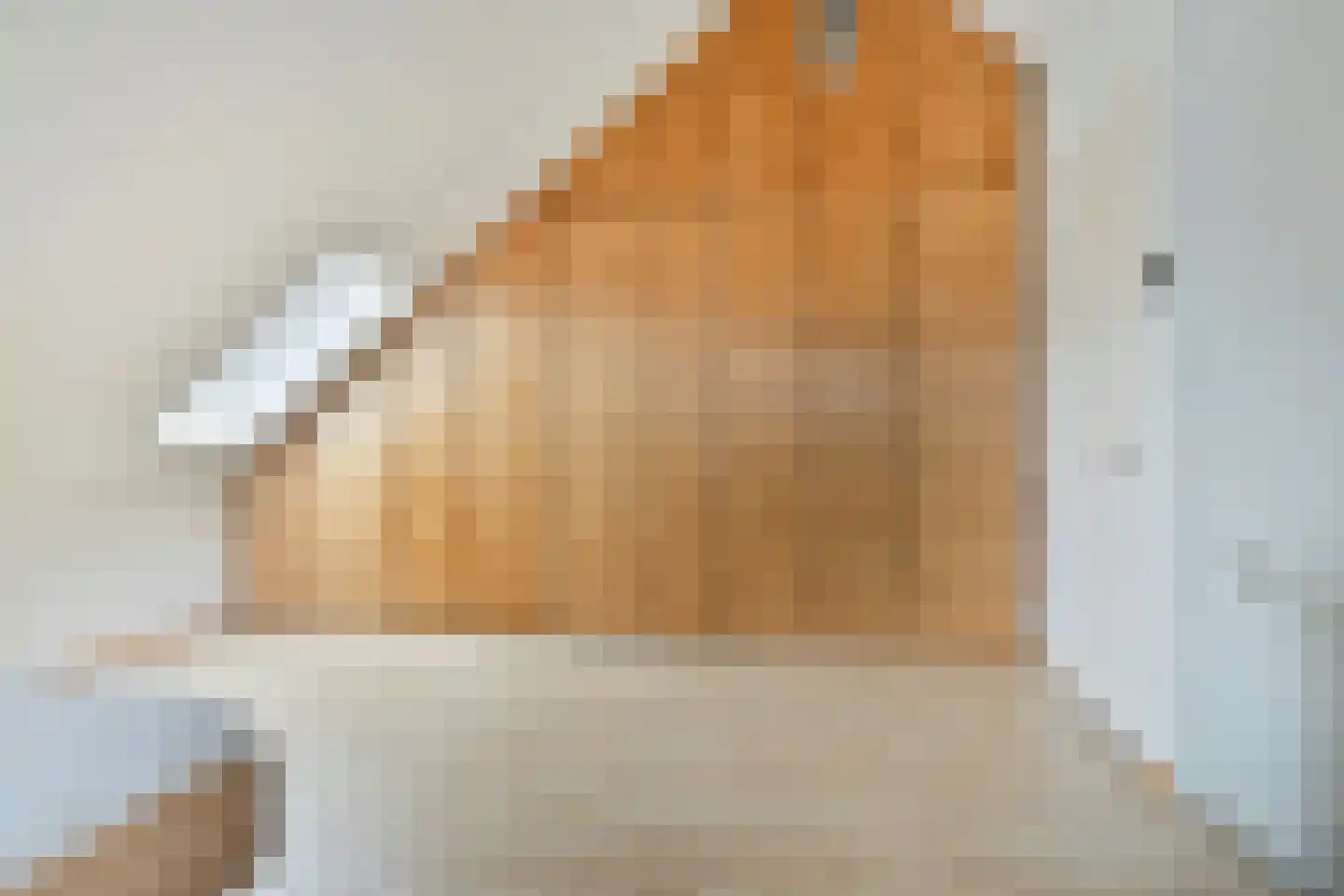Sterreschans 98 Oegstgeest thumbnail 38