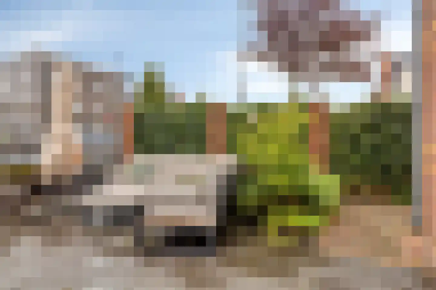 Sterreschans 98 Oegstgeest thumbnail 46