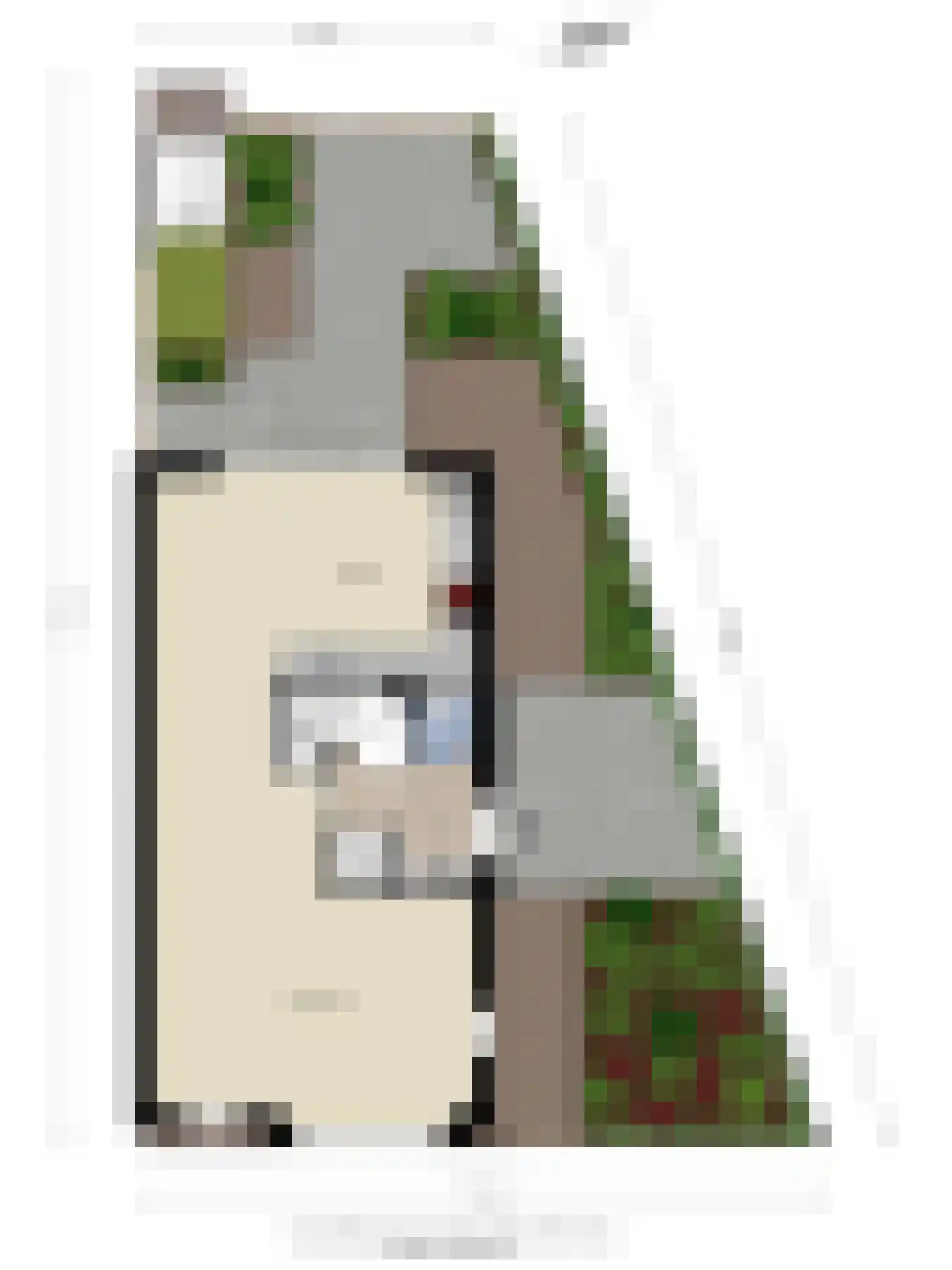 Sterreschans 98 Oegstgeest thumbnail 50