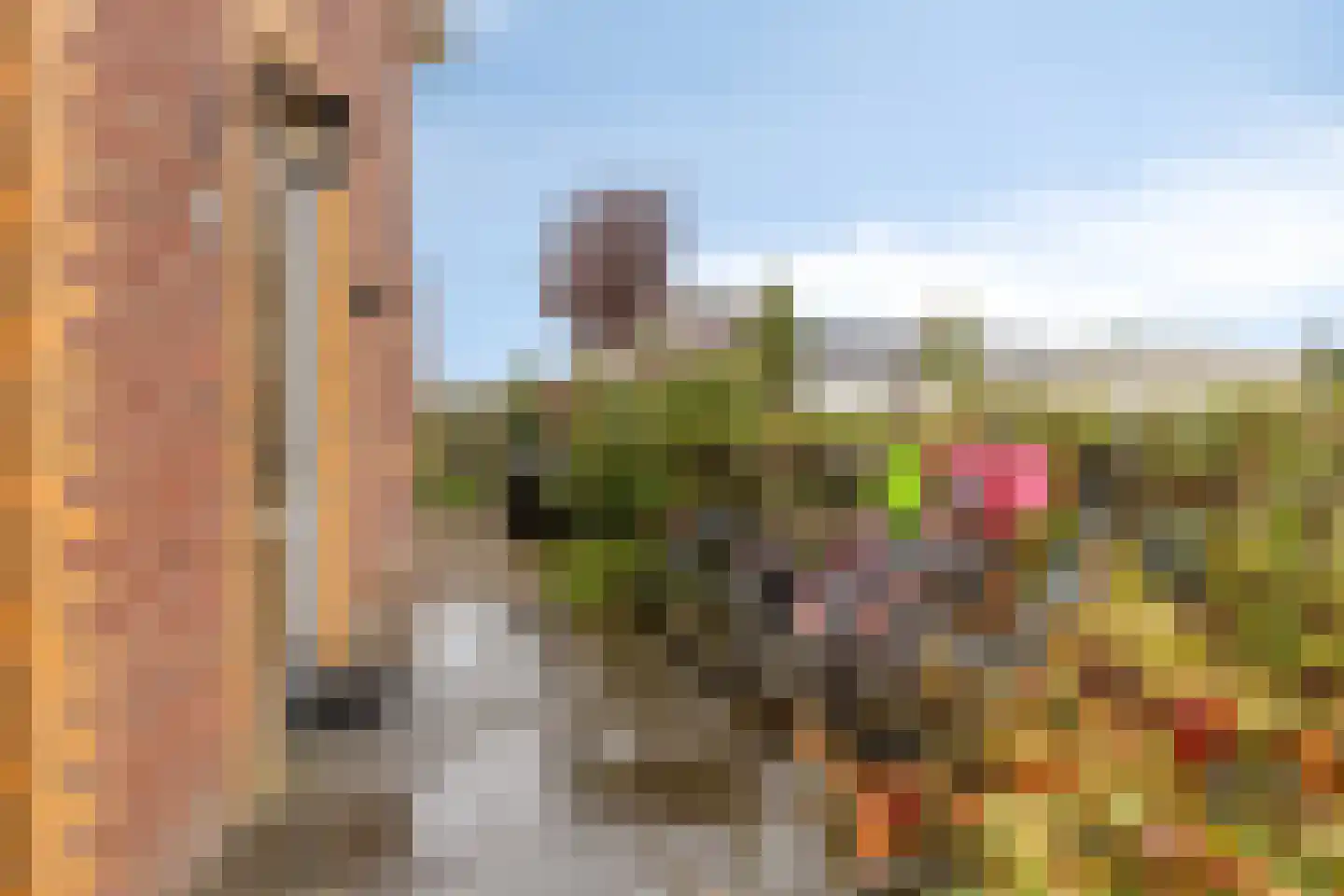 Sterreschans 98 Oegstgeest thumbnail 8