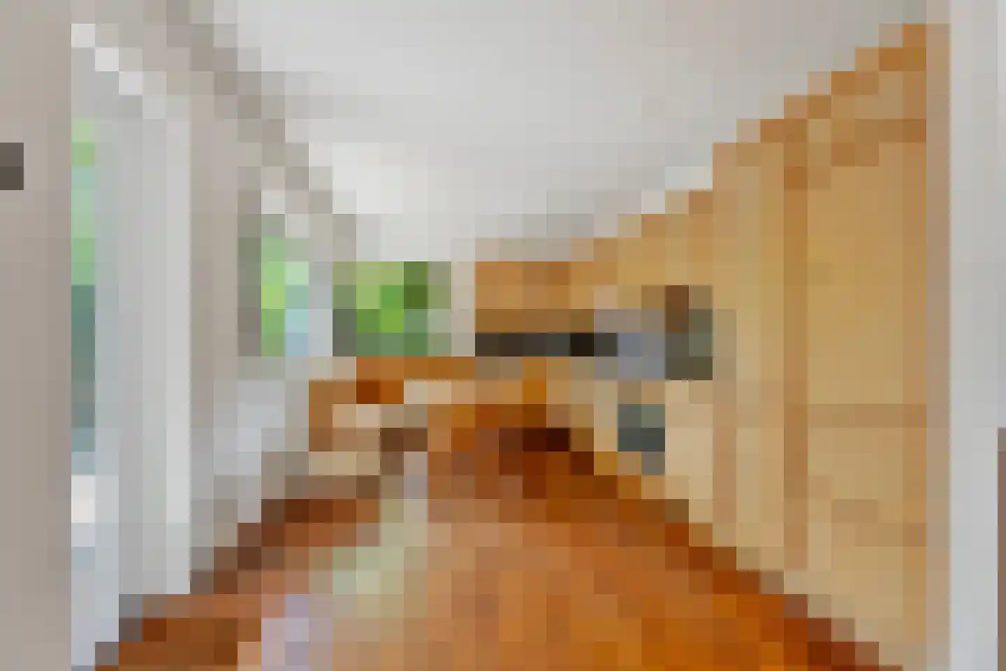 Sterreschansweg 36 Nijmegen thumbnail 14