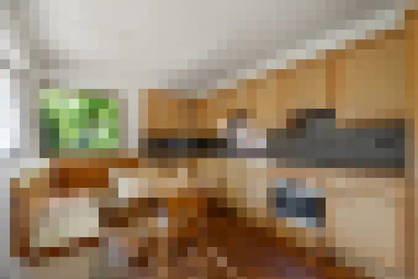 Sterreschansweg 36 Nijmegen thumbnail 15