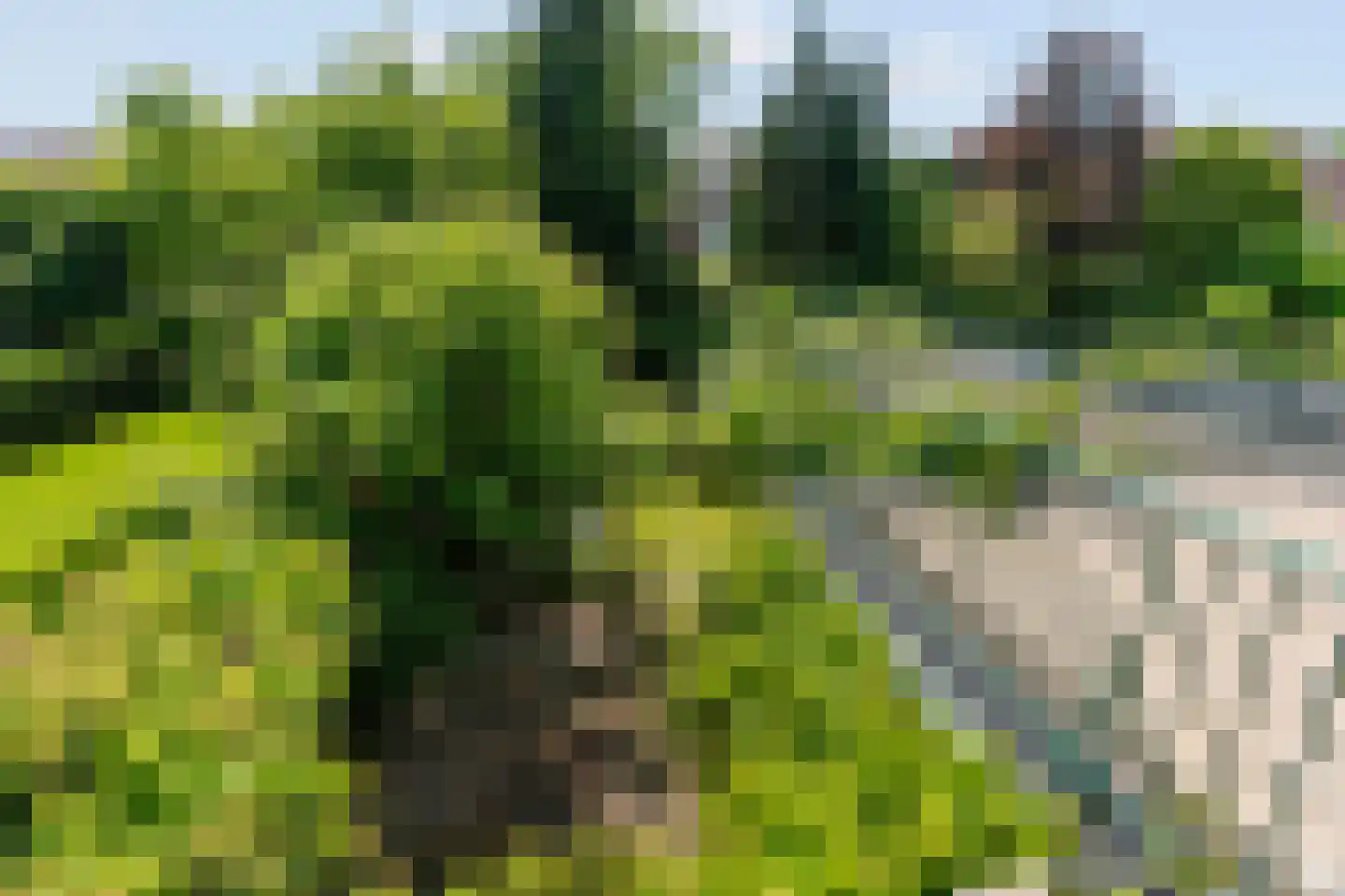 Sterreschansweg 36 Nijmegen thumbnail 35