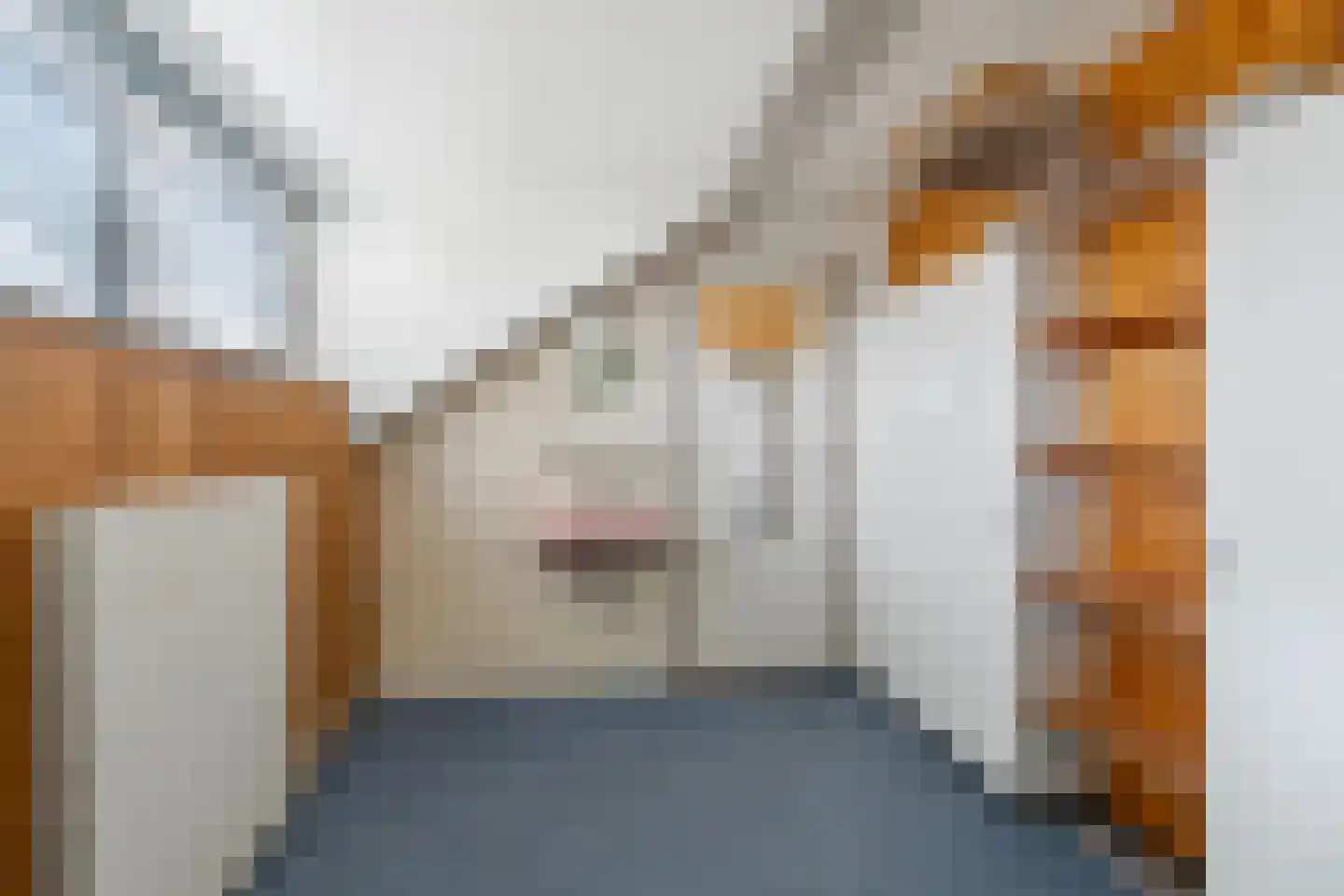 Sterreschansweg 36 Nijmegen thumbnail 40