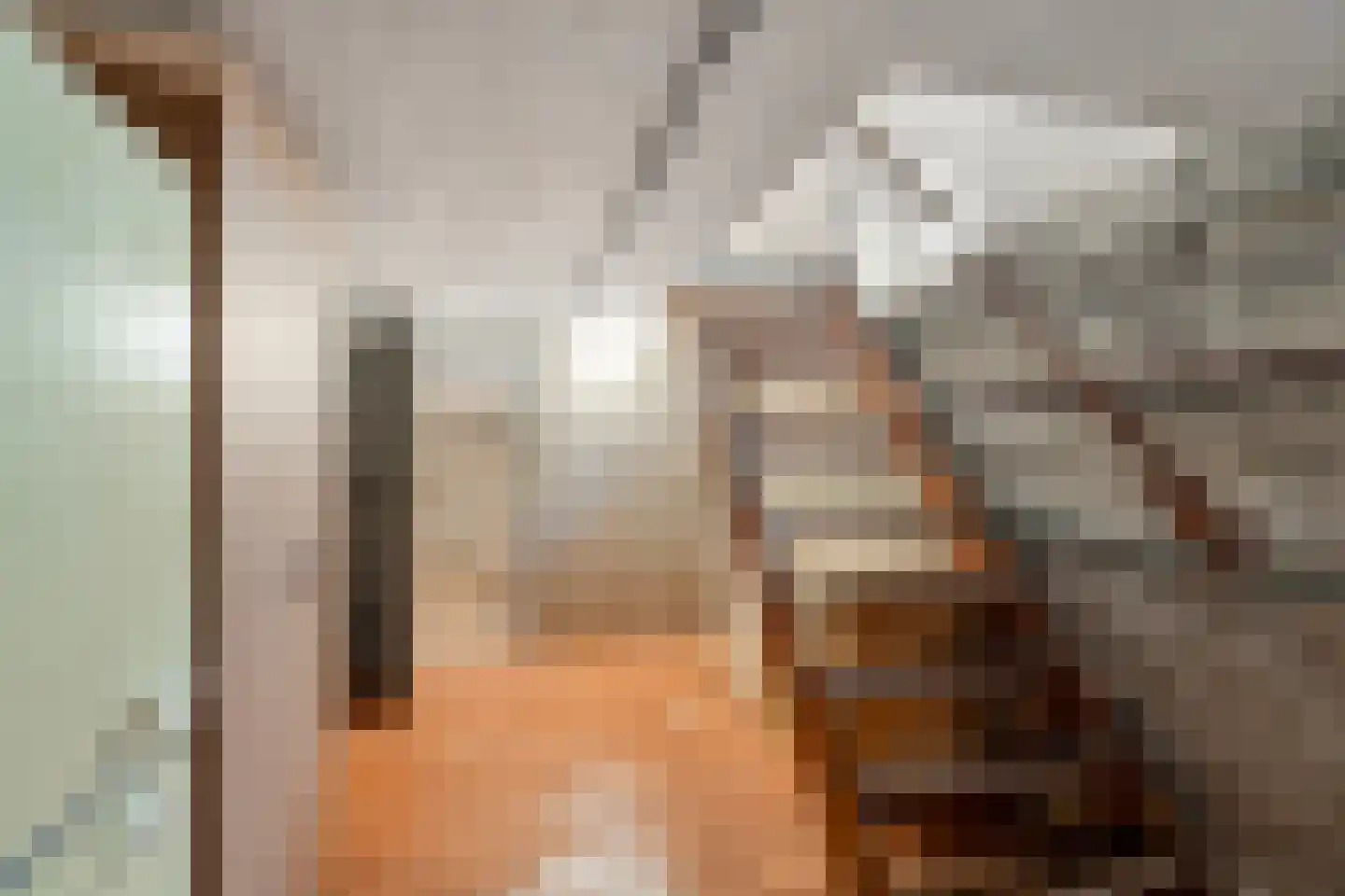 Sterreschansweg 36 Nijmegen thumbnail 46