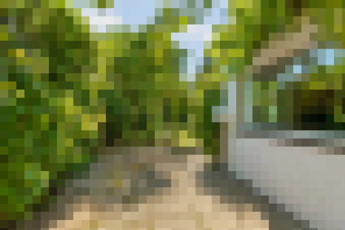 Sterreschansweg 36 Nijmegen thumbnail 47