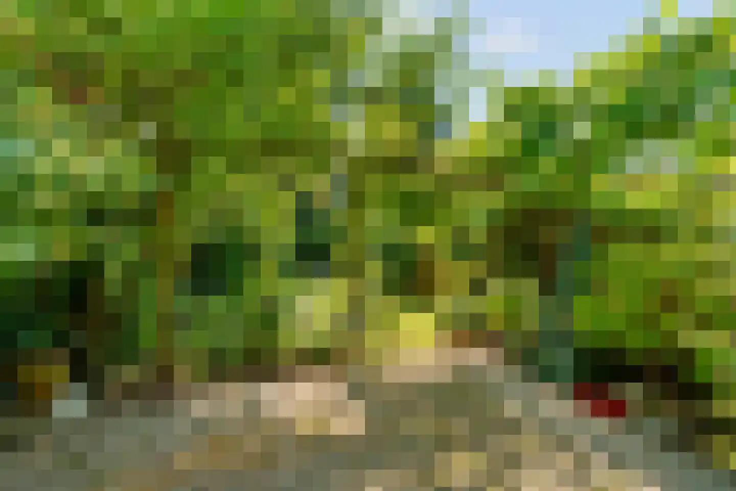 Sterreschansweg 36 Nijmegen thumbnail 48