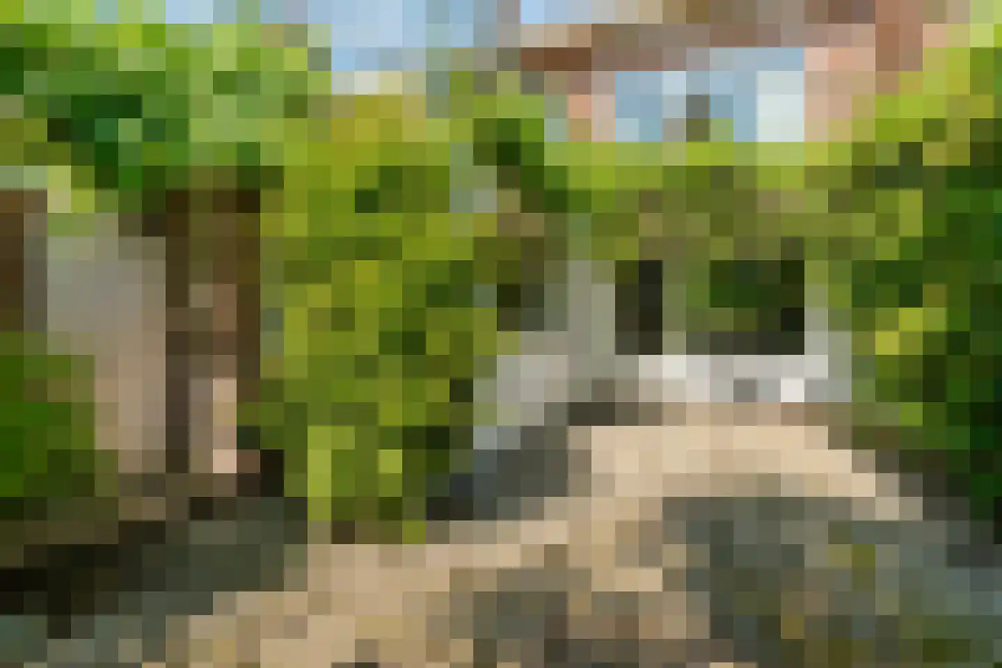 Sterreschansweg 36 Nijmegen thumbnail 49