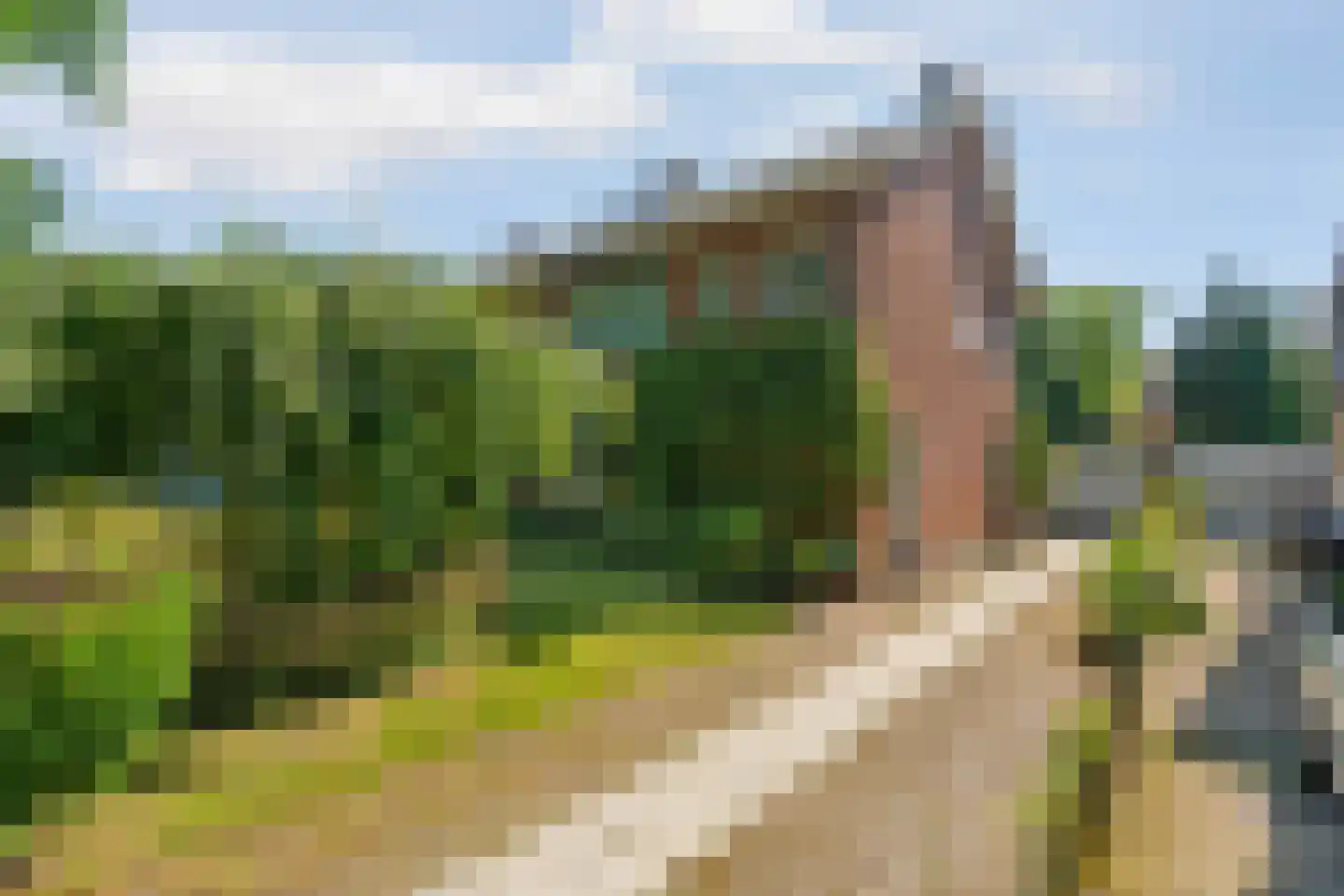 Sterreschansweg 36 Nijmegen thumbnail 5