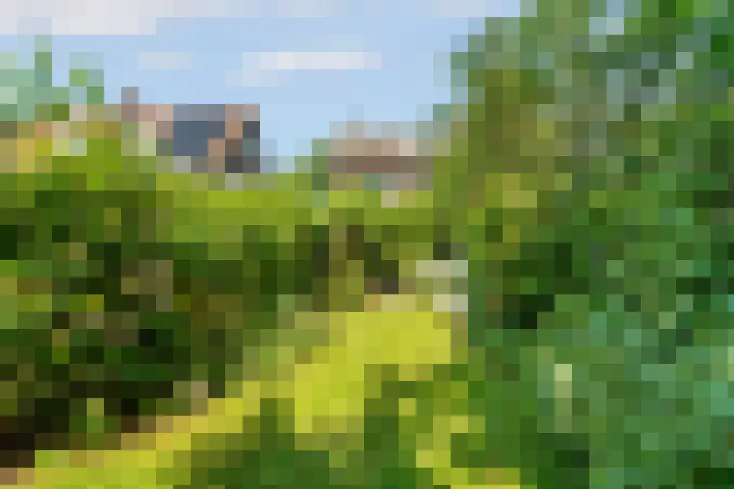 Sterreschansweg 36 Nijmegen thumbnail 52