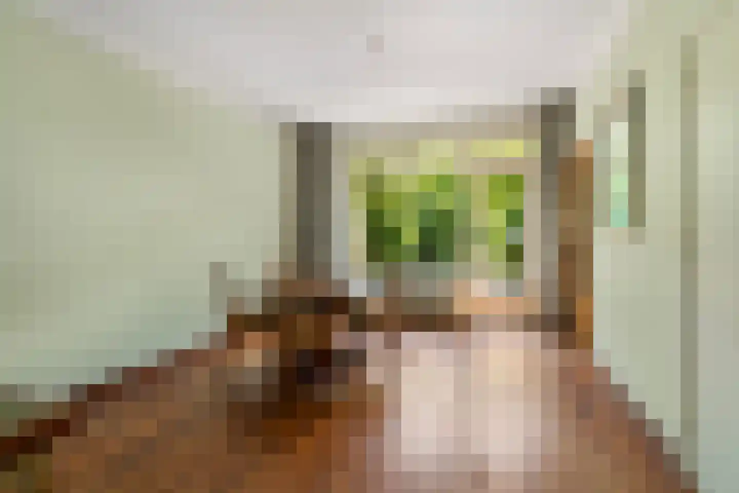 Sterreschansweg 36 Nijmegen thumbnail 9