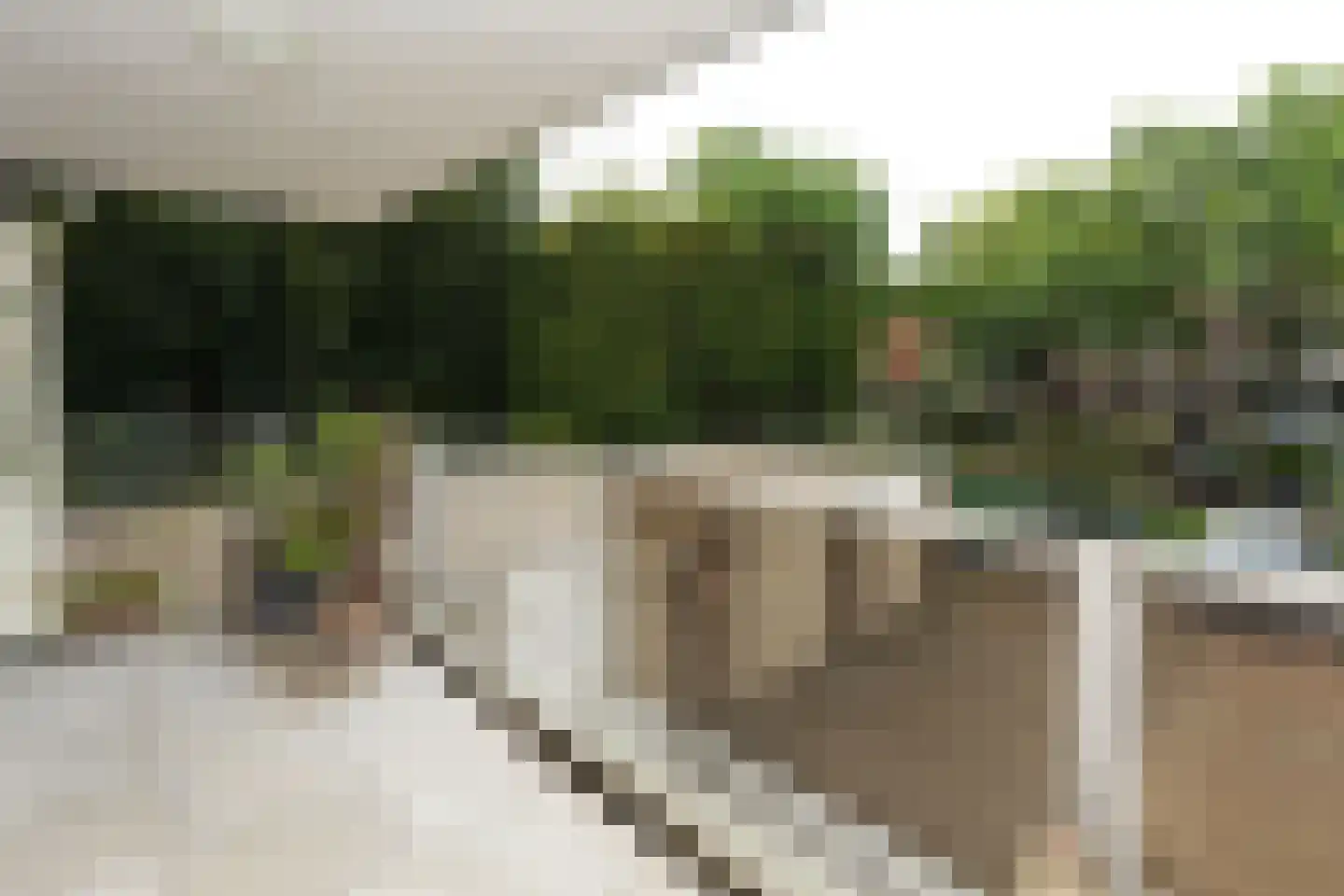 Sterreschansweg 55 H Nijmegen thumbnail 11