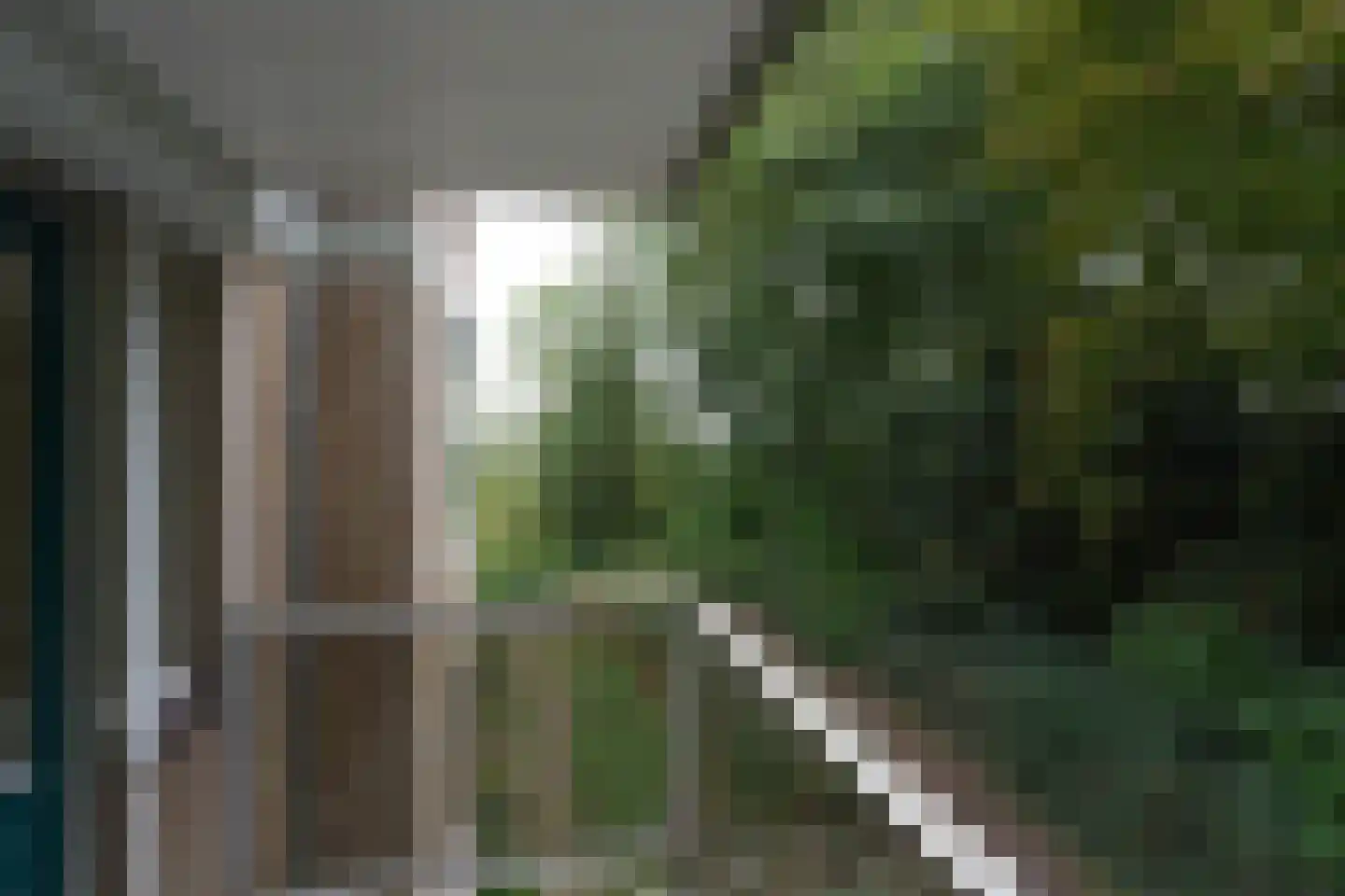 Sterreschansweg 55 H Nijmegen thumbnail 17