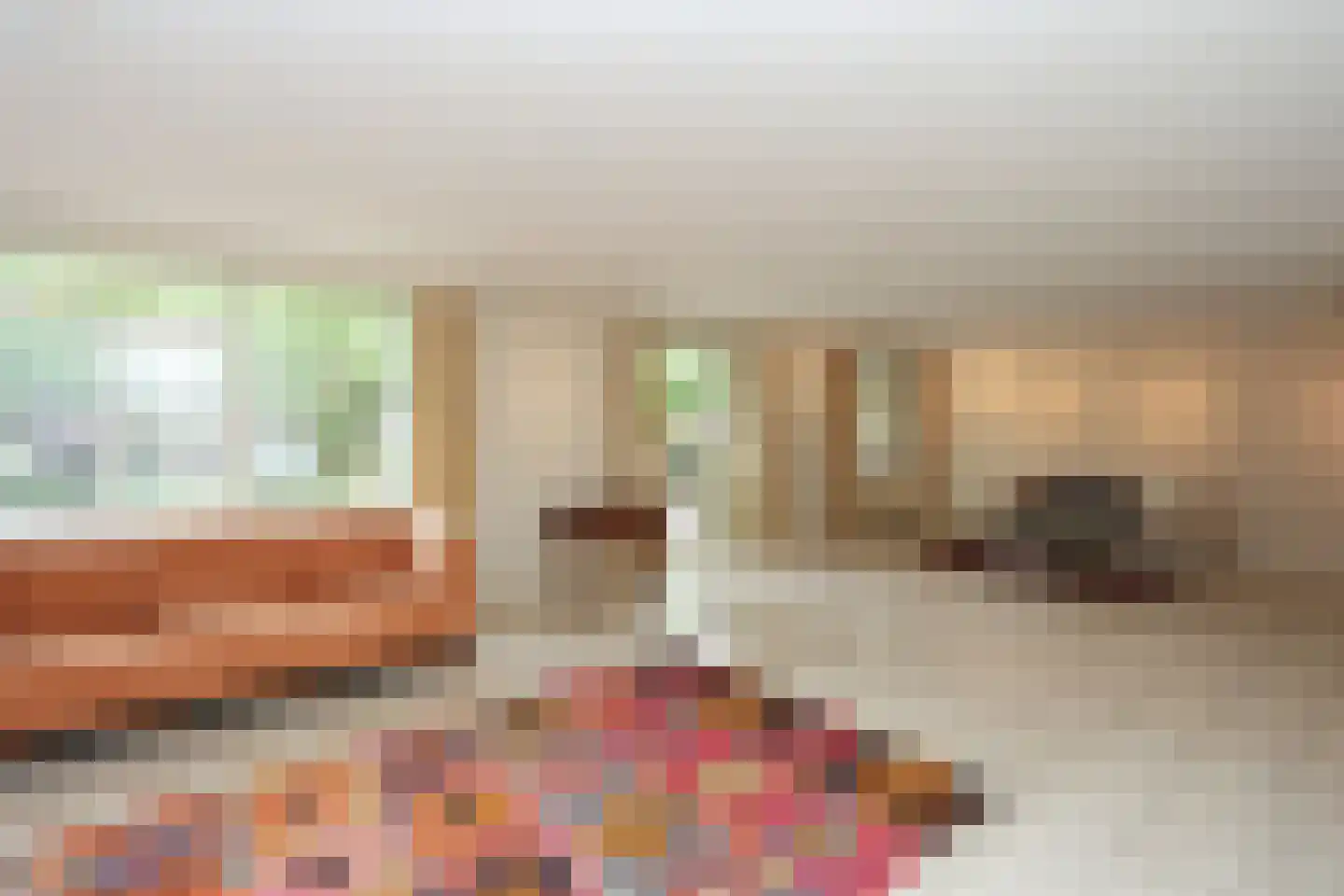 Sterreschansweg 55 H Nijmegen thumbnail 4
