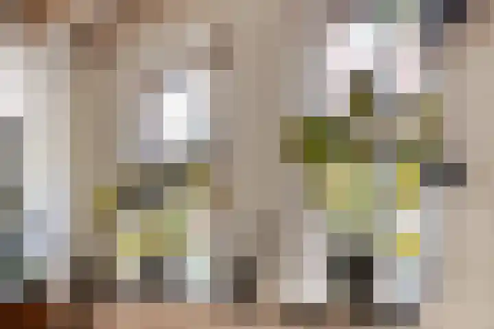 Sterrestraat 8 Heusden thumbnail 12
