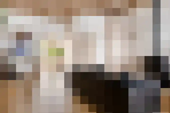 Sterrestraat 8 Heusden thumbnail 13
