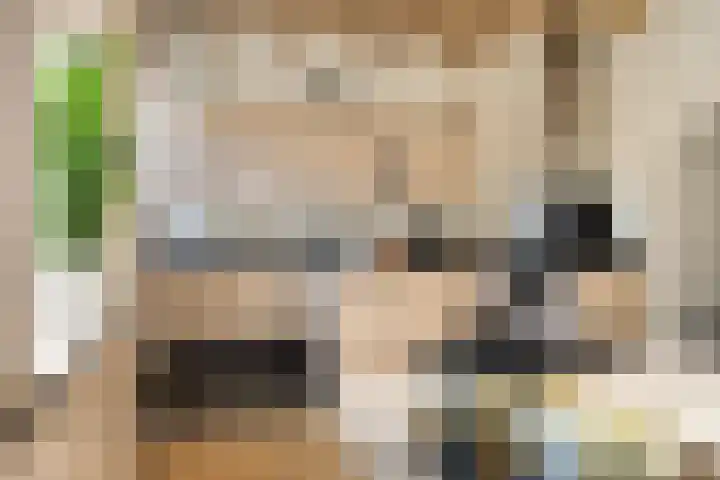Sterrestraat 8 Heusden thumbnail 16
