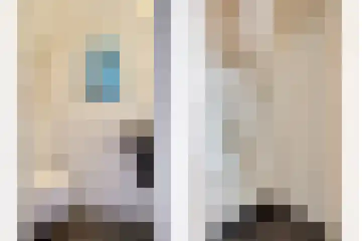 Sterrestraat 8 Heusden thumbnail 21