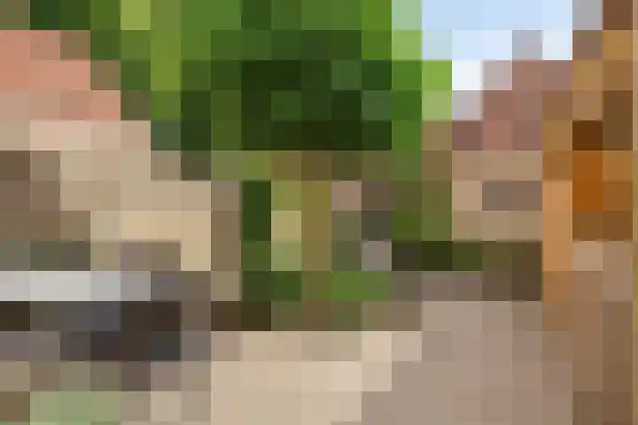 Sterrestraat 8 Heusden thumbnail 4