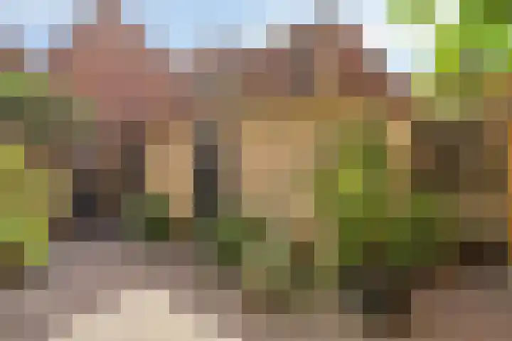 Sterrestraat 8 Heusden thumbnail 40
