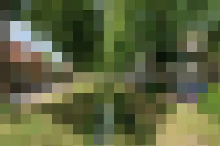 Sterrestraat 8 Heusden thumbnail 42