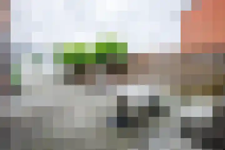 Sterreweg 1 Hengelo (Gld) thumbnail 15