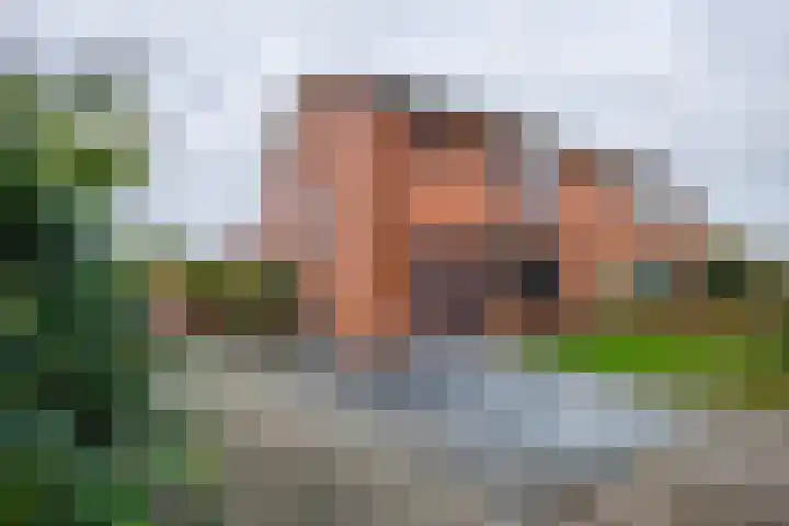 Sterreweg 1 Hengelo (Gld) thumbnail 17