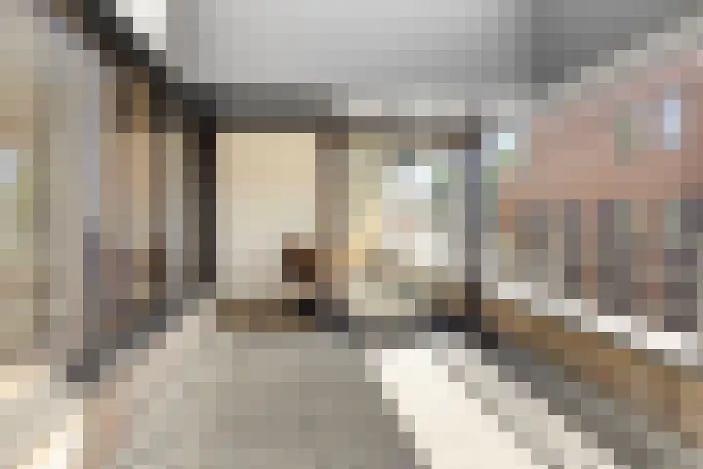 Sterreweg 8 D Hengelo (Gld) thumbnail 19