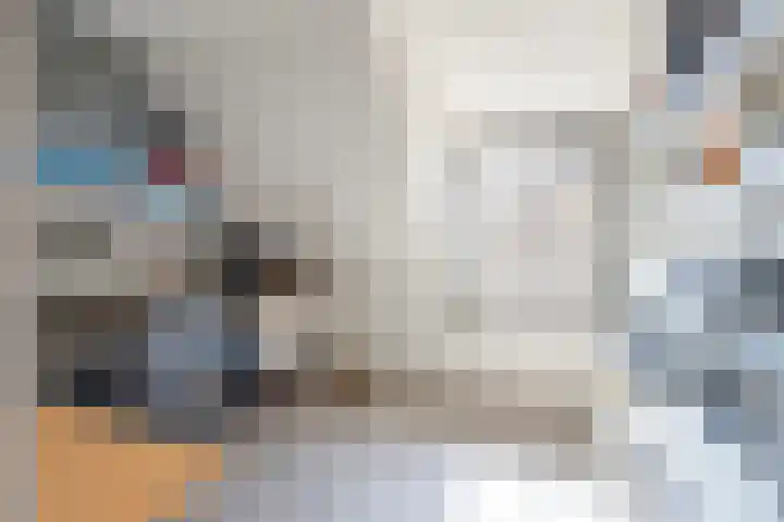 Steskensstraat 42 Stein thumbnail 20
