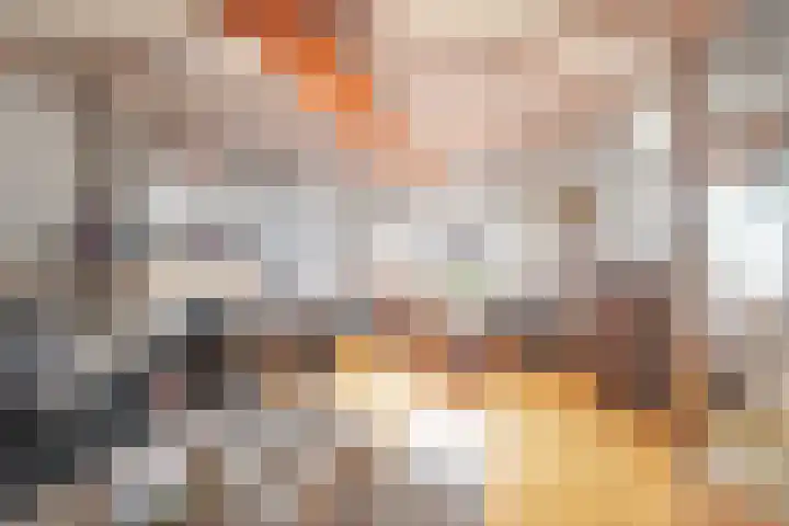 Steskensstraat 42 Stein thumbnail 6