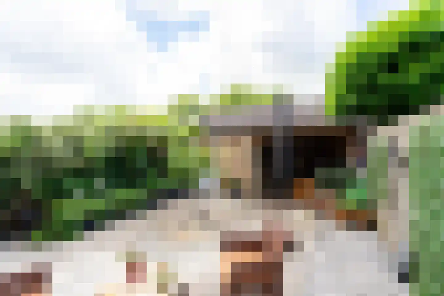 Stetse 11 Grootebroek thumbnail 24