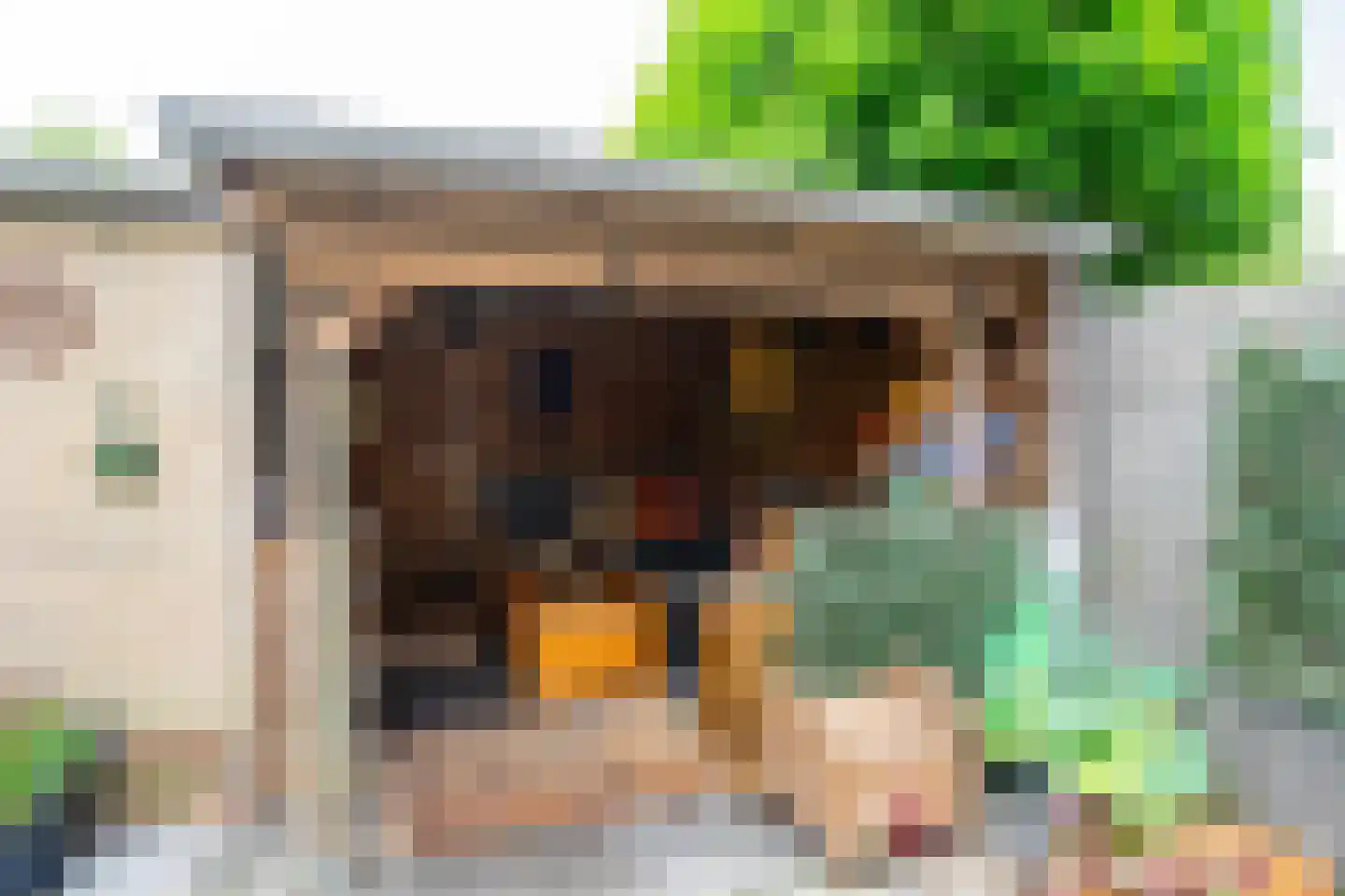 Stetse 11 Grootebroek thumbnail 25