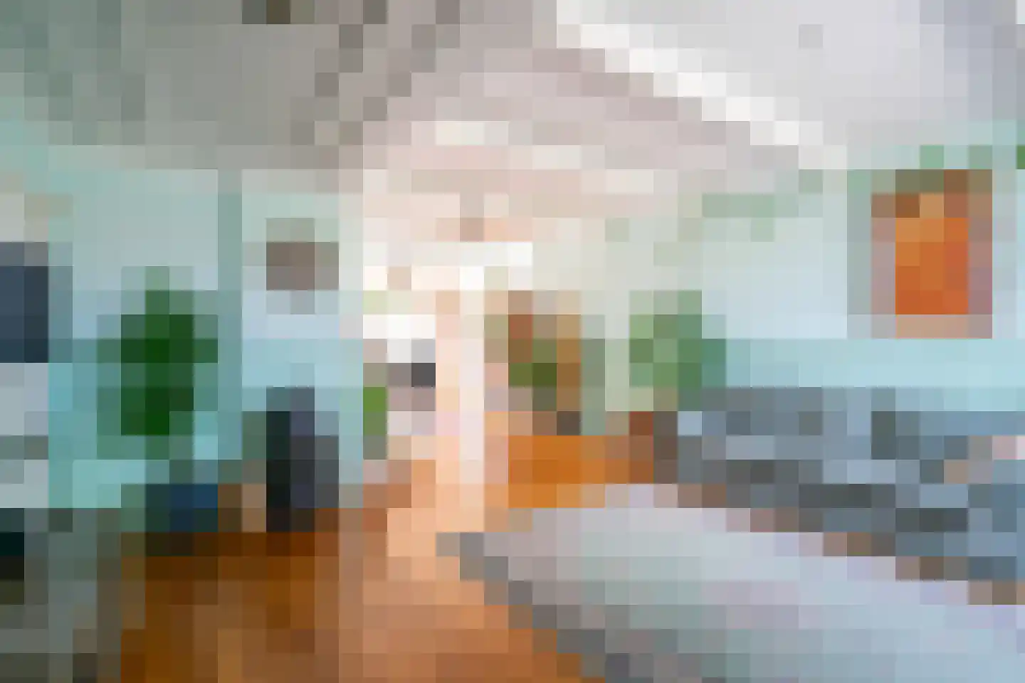 Stetse 11 Grootebroek thumbnail 8
