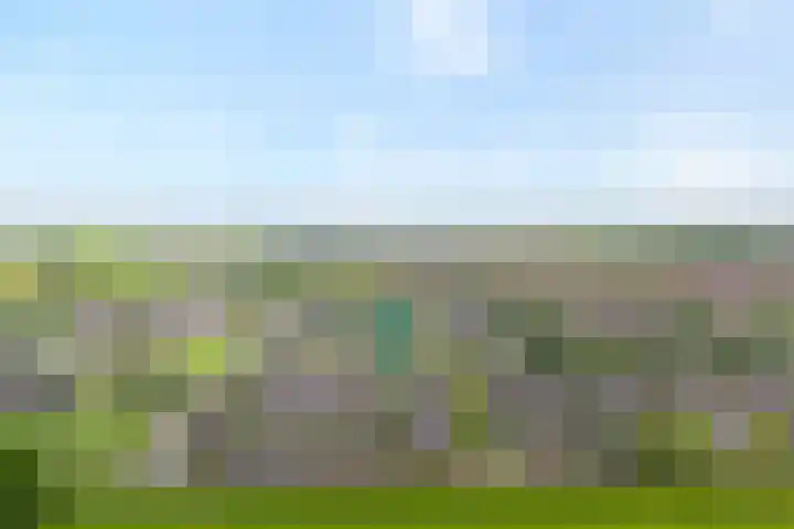 Stettin 13 Hattem thumbnail 10