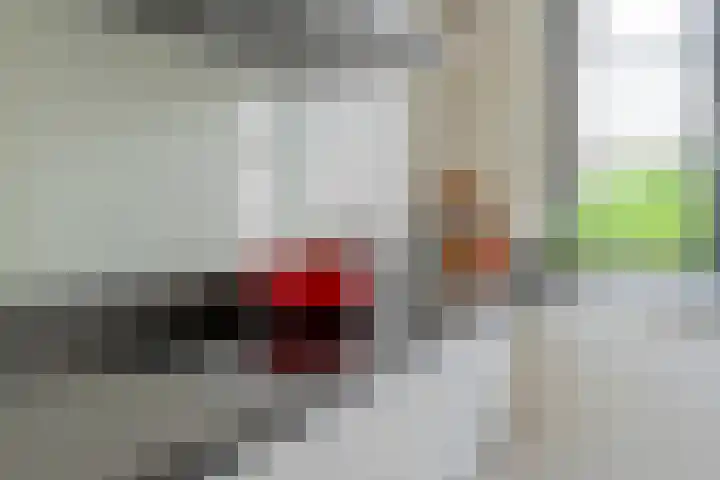 Stettin 13 Hattem thumbnail 21
