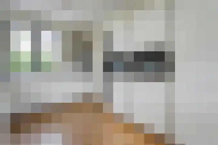Stettin 13 Hattem thumbnail 22