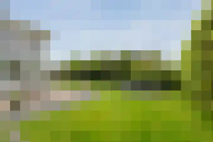 Stettin 13 Hattem thumbnail 49