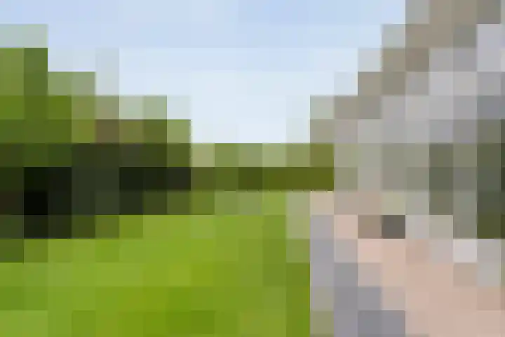 Stettin 13 Hattem thumbnail 5