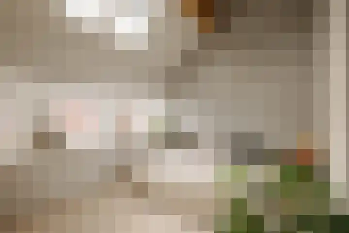 Stettineiland 116 Amsterdam thumbnail 35