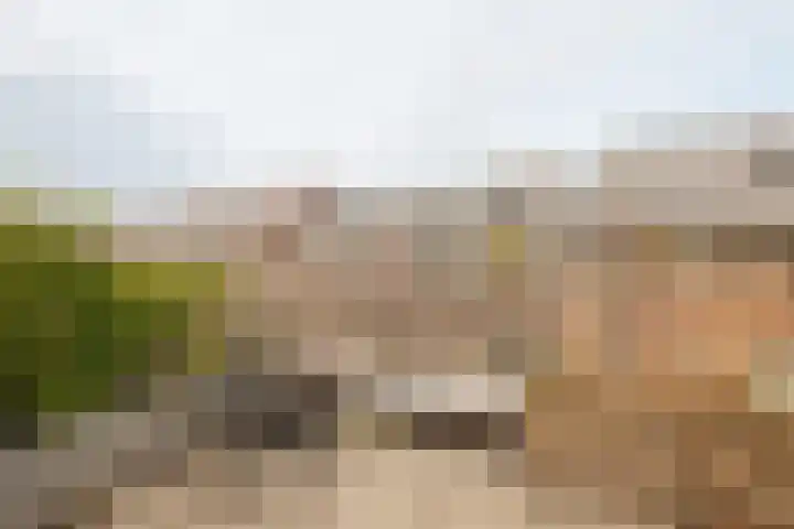 Stettineiland 116 Amsterdam thumbnail 41