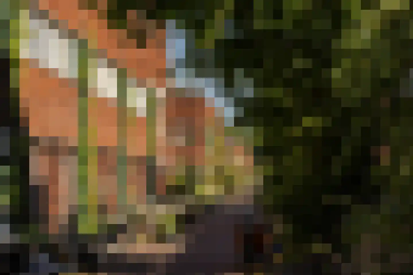 Stettineiland 29 Amsterdam thumbnail 49