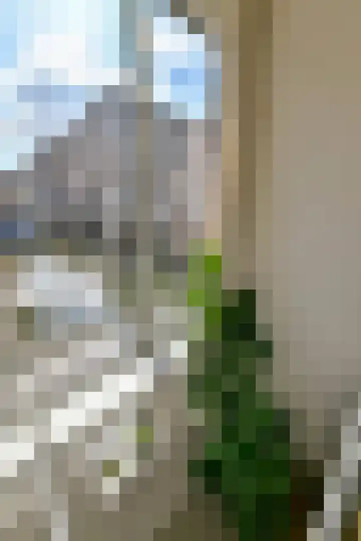 Stettineiland 78 Amsterdam thumbnail 13