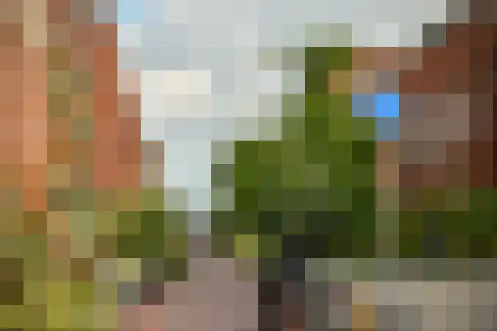 Stettineiland 78 Amsterdam thumbnail 30