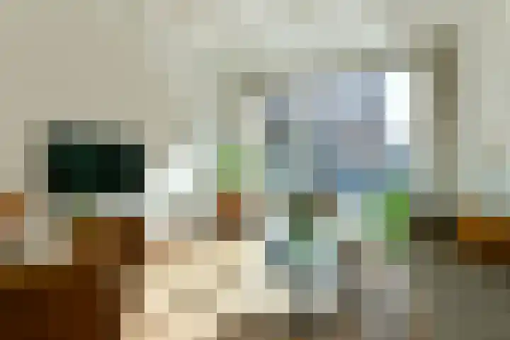 Stettineiland 78 Amsterdam thumbnail 6