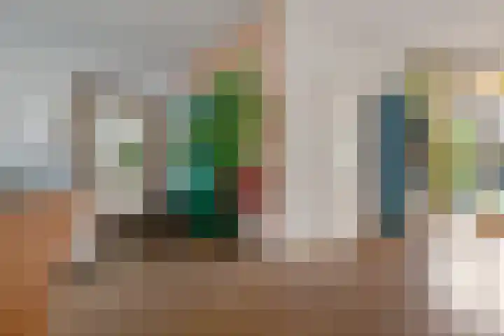 Stetwaard 122 Alkmaar thumbnail 10