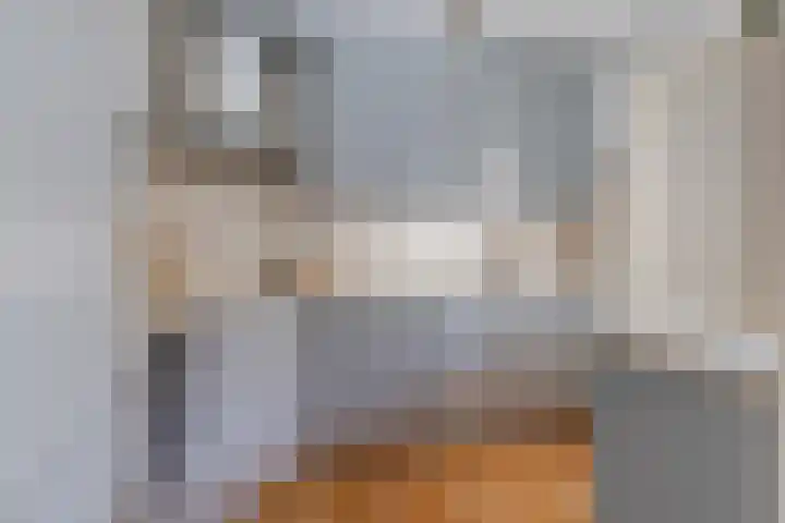 Stetwaard 122 Alkmaar thumbnail 11